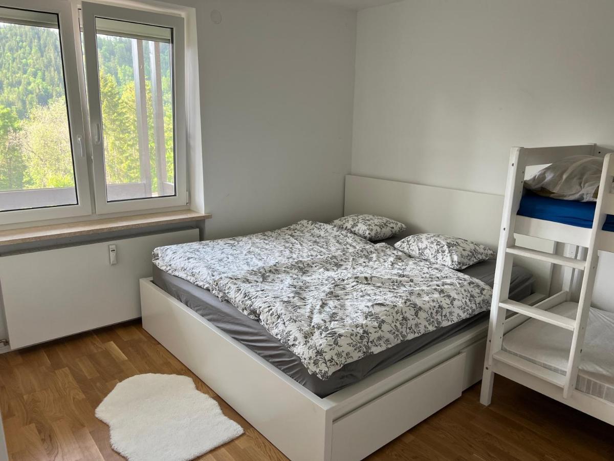 Apartment Bergblick Buchenhoehe